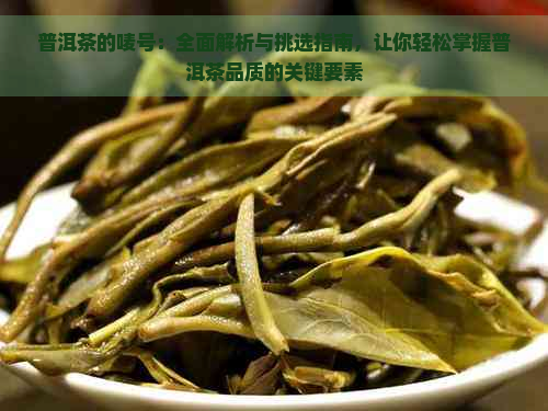 普洱茶的唛号：全面解析与挑选指南，让你轻松掌握普洱茶品质的关键要素