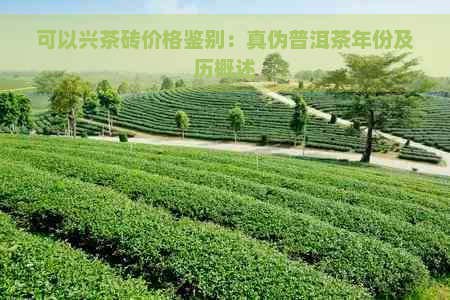 可以兴茶砖价格鉴别：真伪普洱茶年份及历概述