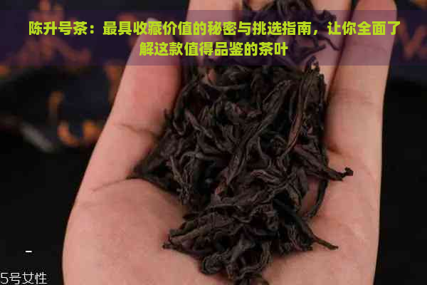 陈升号茶：更具收藏价值的秘密与挑选指南，让你全面了解这款值得品鉴的茶叶