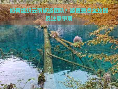 如何组织云南旅游团队？游览景点全攻略及注意事项