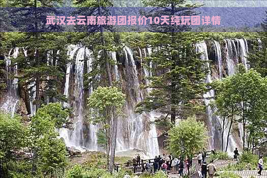 武汉去云南旅游团报价10天纯玩团详情