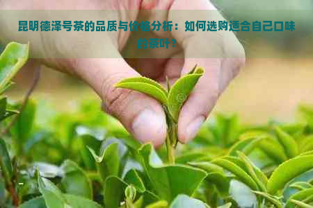 昆明德泽号茶的品质与价格分析：如何选购适合自己口味的茶叶？