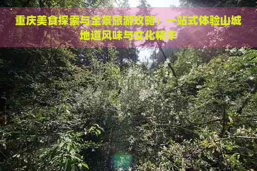 重庆美食探索与全景旅游攻略：一站式体验山城地道风味与文化精华