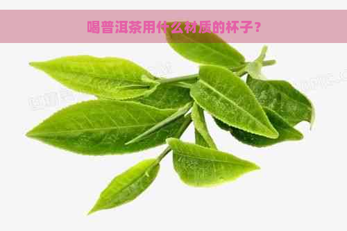 喝普洱茶用什么材质的杯子？