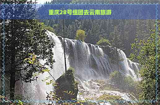 重庆28号组团去云南旅游