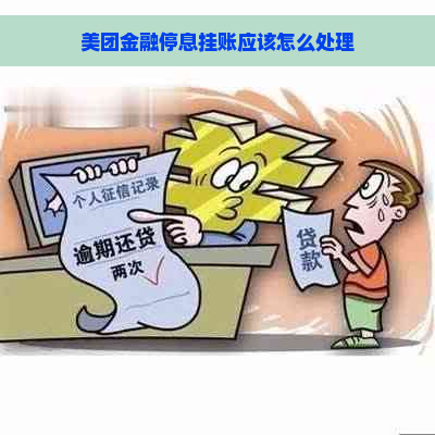 美团金融停息挂账应该怎么处理