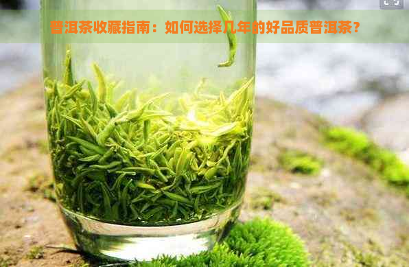 普洱茶收藏指南：如何选择几年的好品质普洱茶？