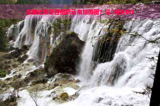 永康近期是否组织云南旅游团？琛岀相关吗？