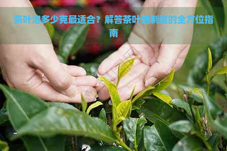 茶叶泡多少克最适合？解答茶叶泡制量的全方位指南