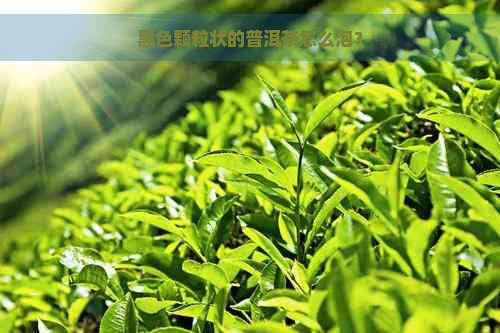 黑色颗粒状的普洱茶怎么泡？