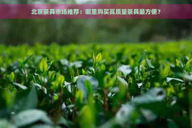 北京茶具市场推荐：哪里购买高质量茶具最方便？