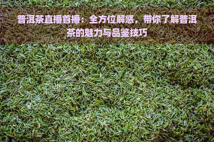 普洱茶直播首播：全方位解惑，带你了解普洱茶的魅力与品鉴技巧