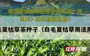 普洱茶饼油味口感是否可喝？有吗？如何鉴别品质？