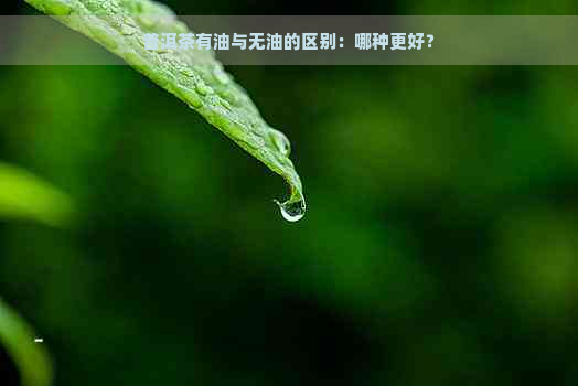 普洱茶有油与无油的区别：哪种更好？