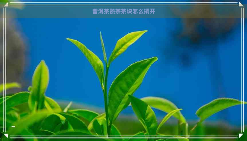 普洱茶熟茶茶块怎么撬开