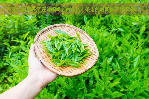 茶泡时间长了还能喝吗？为什么？茶泡的时间长了好不好？