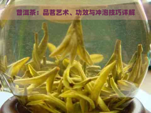 普洱茶：品茗艺术、功效与冲泡技巧详解