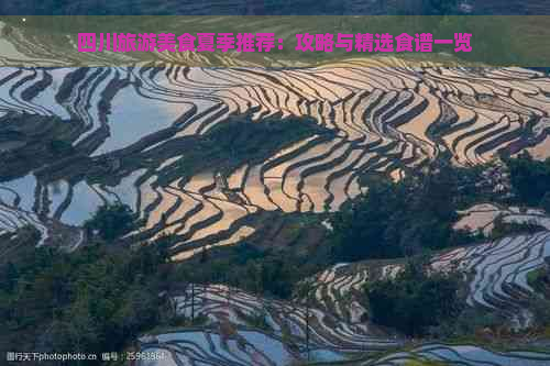 四川旅游美食夏季推荐：攻略与精选食谱一览