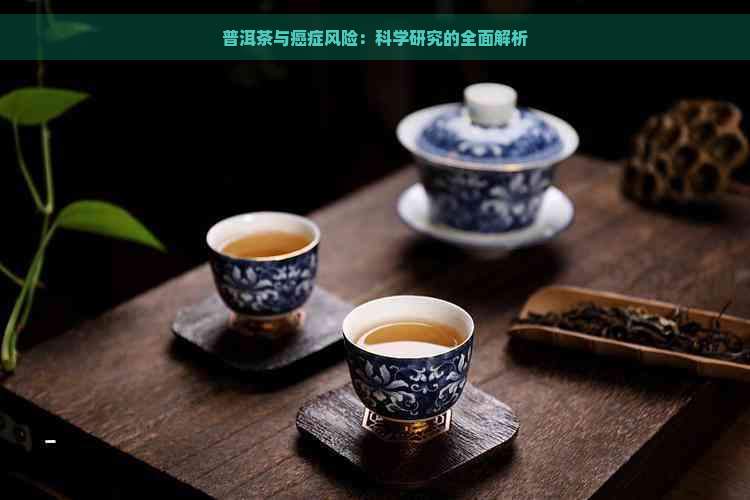 普洱茶与癌症风险：科学研究的全面解析