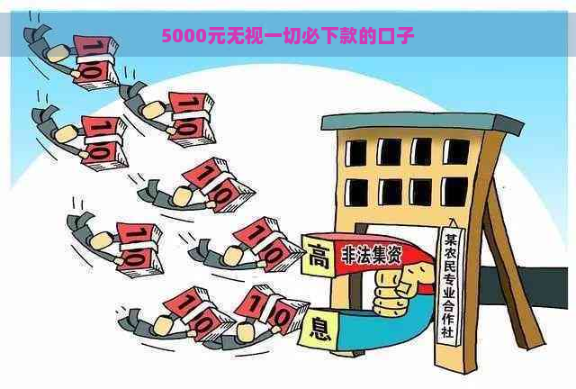 5000元无视一切必下款的口子