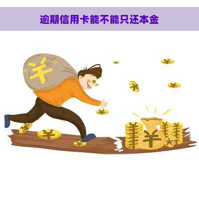 逾期信用卡能不能只还本金