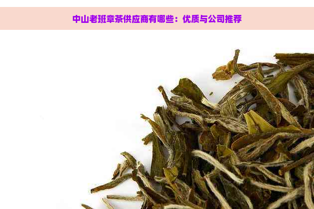 中山老班章茶供应商有哪些：优质与公司推荐