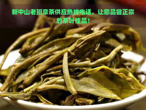 新中山老班章茶供应热线电话，让您品尝正宗的茶叶佳品！