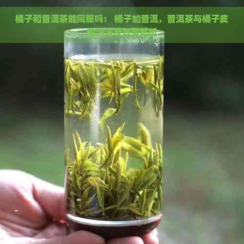 橘子和普洱茶能同服吗： 橘子加普洱，普洱茶与橘子皮的泡法及效果解析