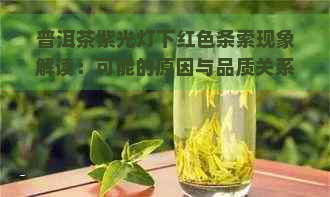 普洱茶紫光灯下红色条索现象解读：可能的原因与品质关系