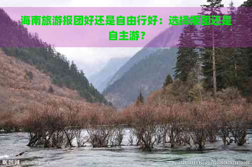 海南旅游报团好还是自由行好：选择报团还是自主游？