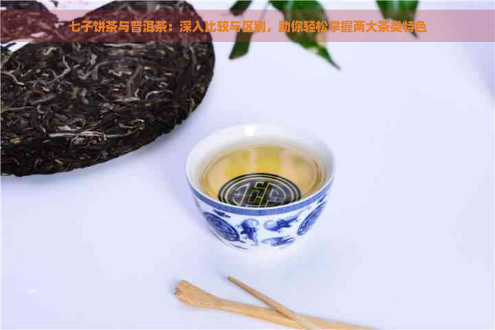 七子饼茶与普洱茶：深入比较与区别，助你轻松掌握两大茶类特色