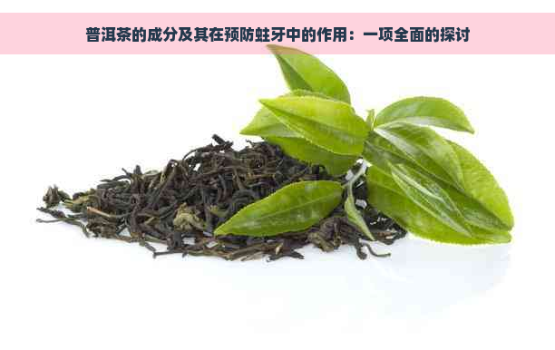 普洱茶的成分及其在预防蛀牙中的作用：一项全面的探讨