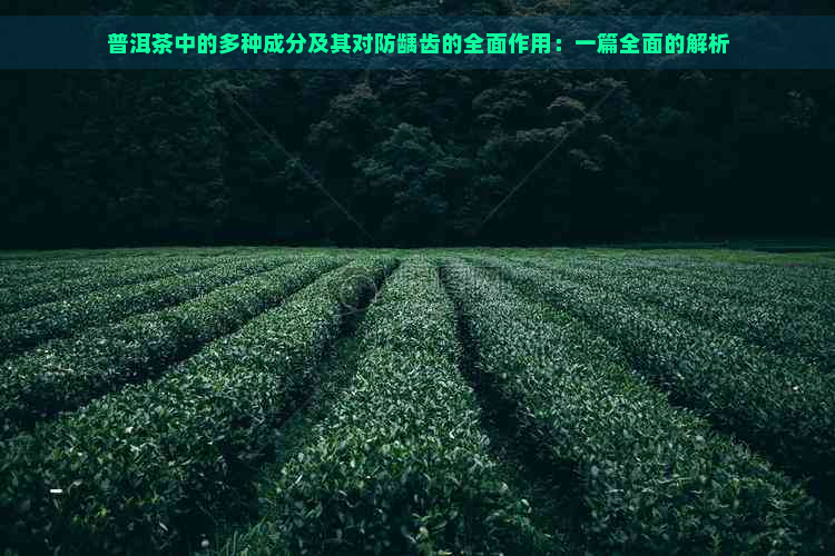 普洱茶中的多种成分及其对防龋齿的全面作用：一篇全面的解析