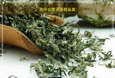 为什么普洱茶有头发