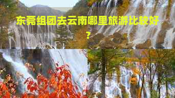 东莞组团去云南哪里旅游比较好？