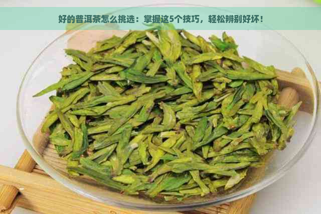 好的普洱茶怎么挑选：掌握这5个技巧，轻松辨别好坏！