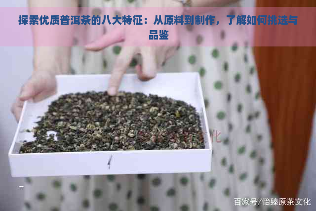 探索优质普洱茶的八大特征：从原料到制作，了解如何挑选与品鉴