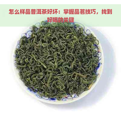 怎么样品普洱茶好坏：掌握品茗技巧，找到好喝的关键