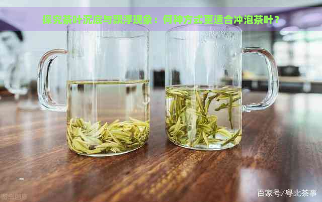 探究茶叶沉底与飘浮现象：何种方式更适合冲泡茶叶？