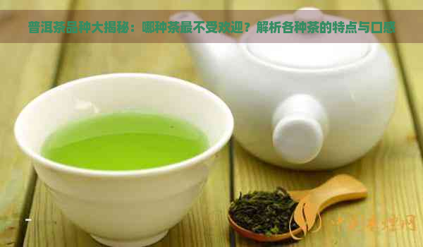 普洱茶品种大揭秘：哪种茶最不受欢迎？解析各种茶的特点与口感