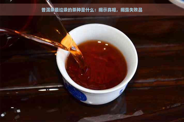 普洱茶最垃圾的茶种是什么：揭示真相，揭露失败品