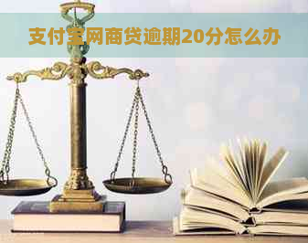 支付宝网商贷逾期20分怎么办