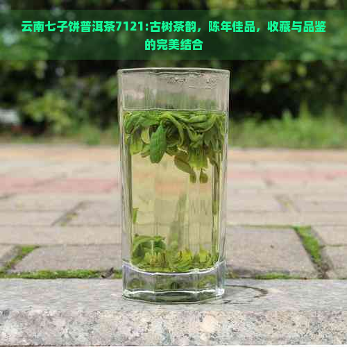 云南七子饼普洱茶7121:古树茶韵，陈年佳品，收藏与品鉴的完美结合