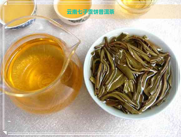 云南七子贡饼普洱茶