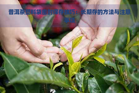 普洱茶塑料袋密封保存技巧：长期存的方法与注意事项