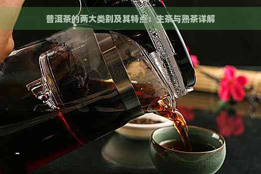 普洱茶的两大类别及其特点：生茶与熟茶详解