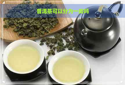 普洱茶可以分为一类吗