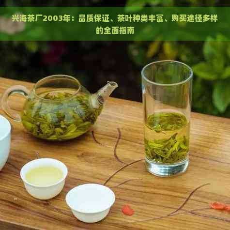 兴海茶厂2003年：品质保证、茶叶种类丰富、购买途径多样的全面指南