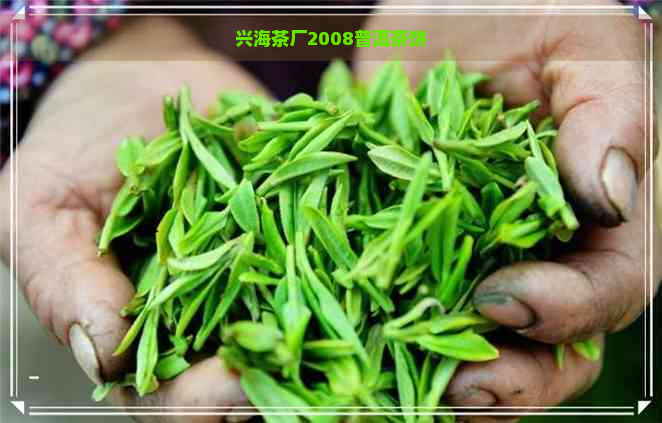 兴海茶厂2008普洱茶饼