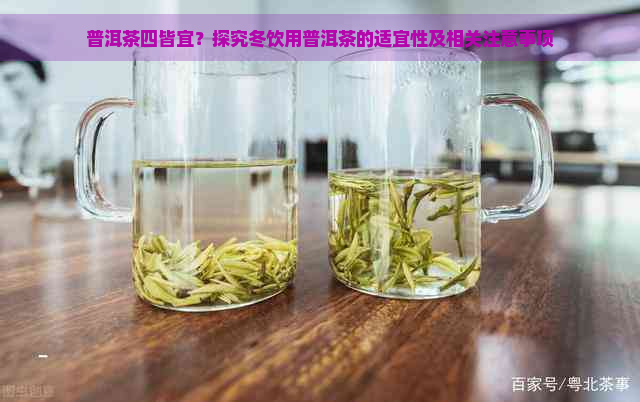 普洱茶四皆宜？探究冬饮用普洱茶的适宜性及相关注意事项